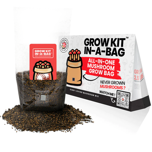 MUSHROOM GROW KIT IN A BAG™ (7 Bags) by CBD Living