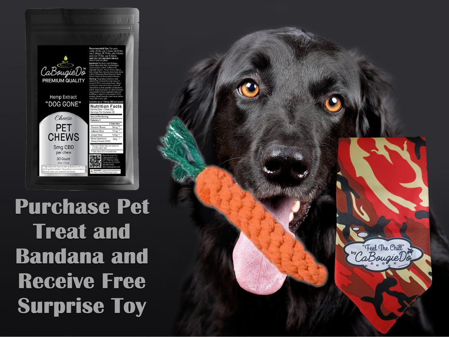 CaBougieDo All Natural "Dog Gone & Cat Meow" Pet Treats w/Bandana & FREE Surprise Toy