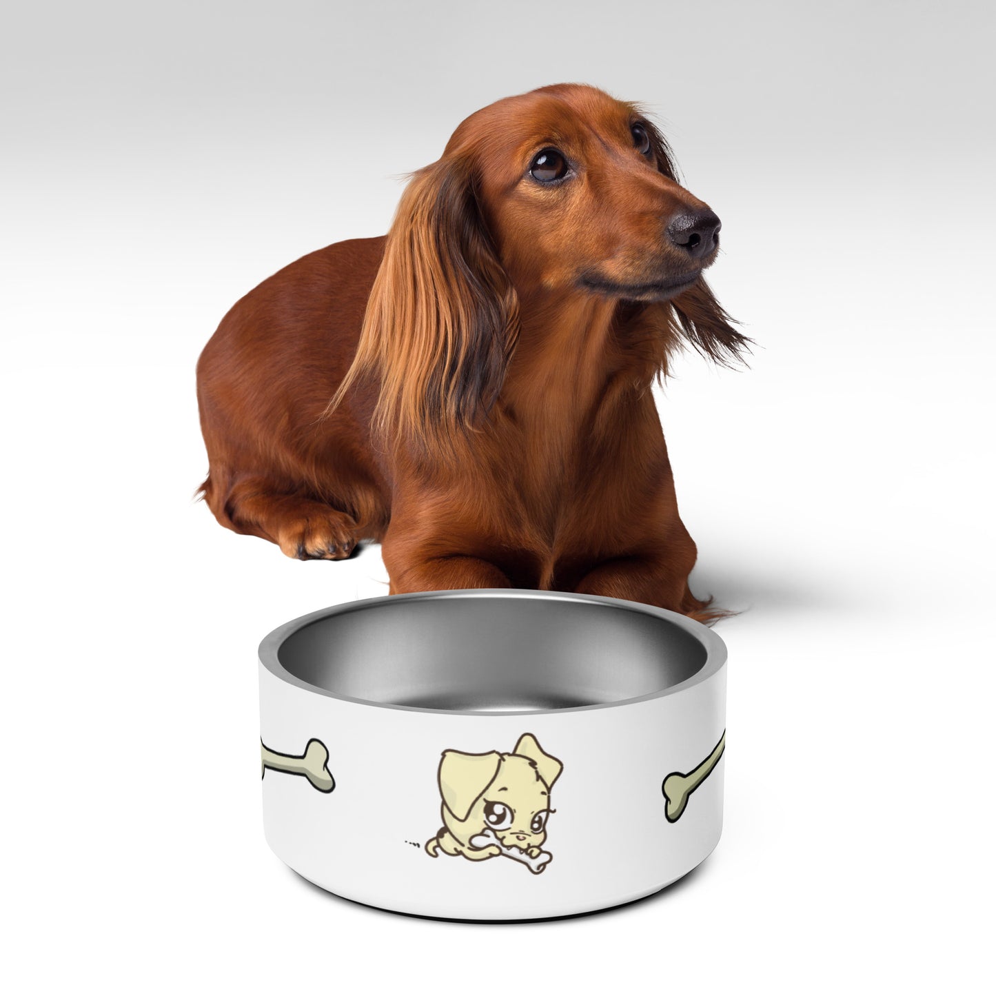 Pet bowl - Dog and Yellow Bone