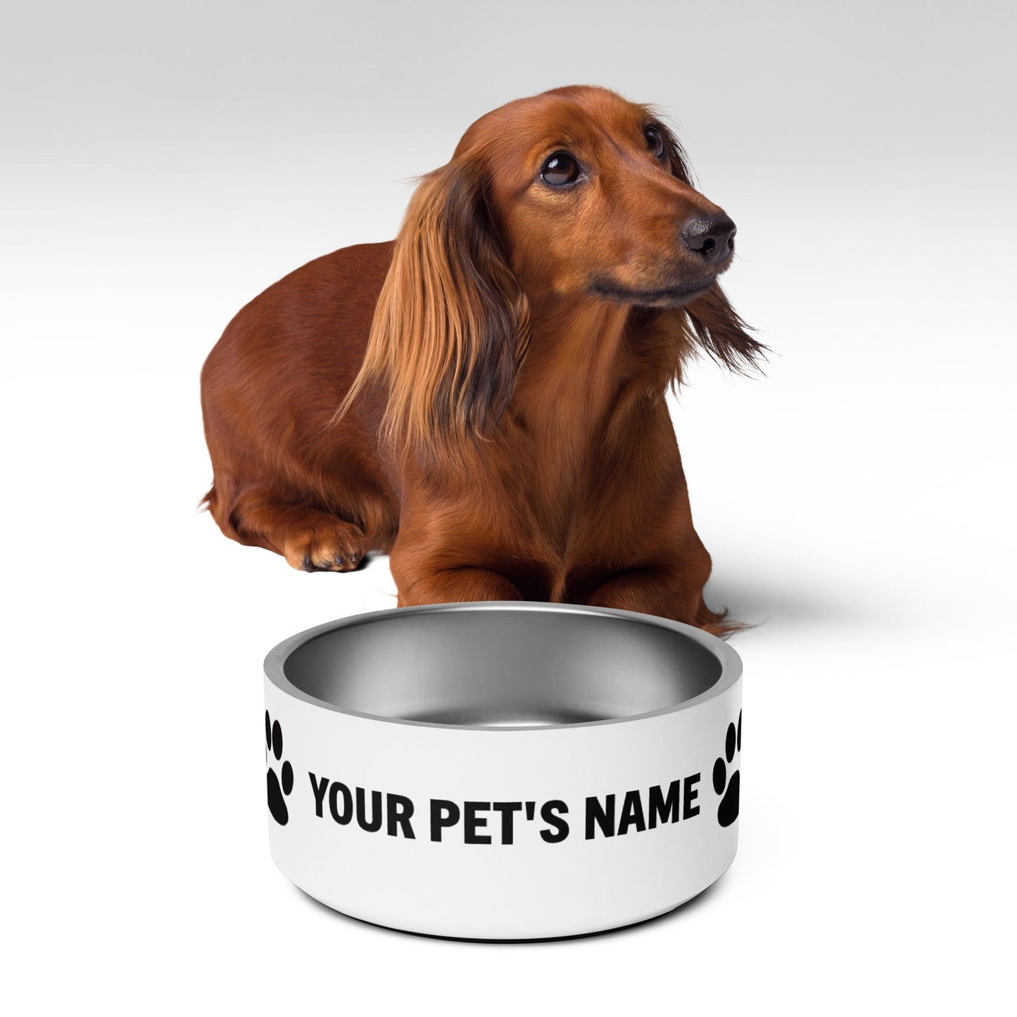 Pet bowl - Customize with Your Pet's Name