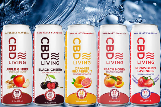 CBD 5 Flavors Sparkling Water